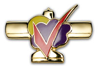 Gold Wings Pin