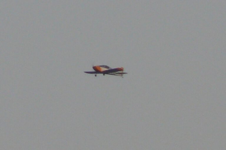 Sonex_1170_2.jpg